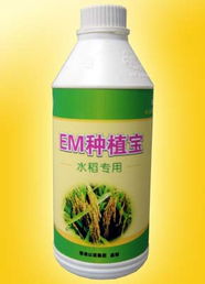 廣州以諾生物科技推出‘em種植寶’水稻專用產品，助力綠色農業發展