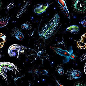 浮游生物的奇妙世界 從浮游植物到浮游動物的卡通矢量插圖