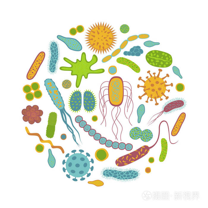 白色背景上的微生物王國 細菌與微生物圖標的視覺分離與科學啟示