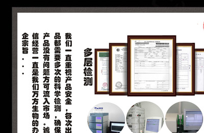 批發向天果提取物 廠家直供 10:1原料淬煉 高品質優價