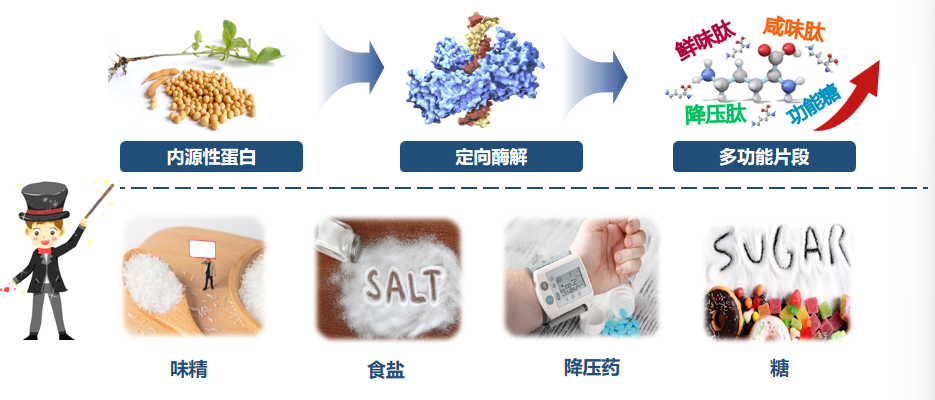 華東師大科技重磅亮相全球技術轉移大會 生物創新引領未來